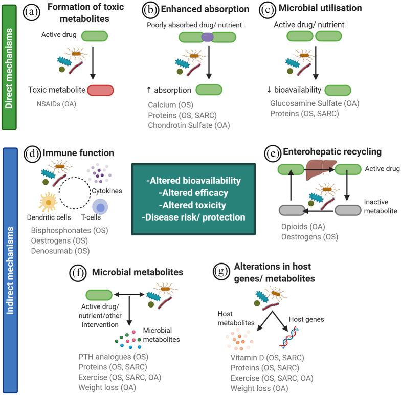 https://cdn.ncbi.nlm.nih.gov/pmc/blobs/5ff4/8172340/d2063a488089/10.1177_1759720X211009018-fig2.jpg