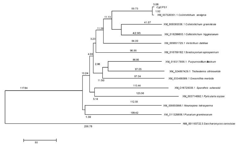 https://cdn.ncbi.nlm.nih.gov/pmc/blobs/5ff4/8200577/9ba29a81b806/PPJ-OA-11-2020-0208f1.jpg