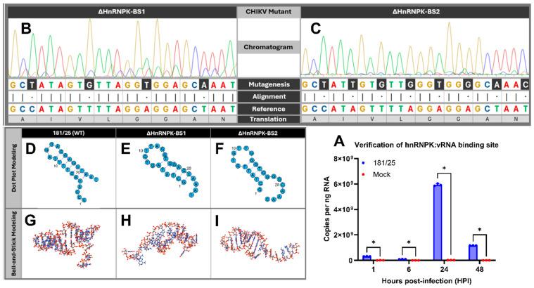 https://cdn.ncbi.nlm.nih.gov/pmc/blobs/5ff5/11680317/48cd01b90122/viruses-16-01918-g001.jpg