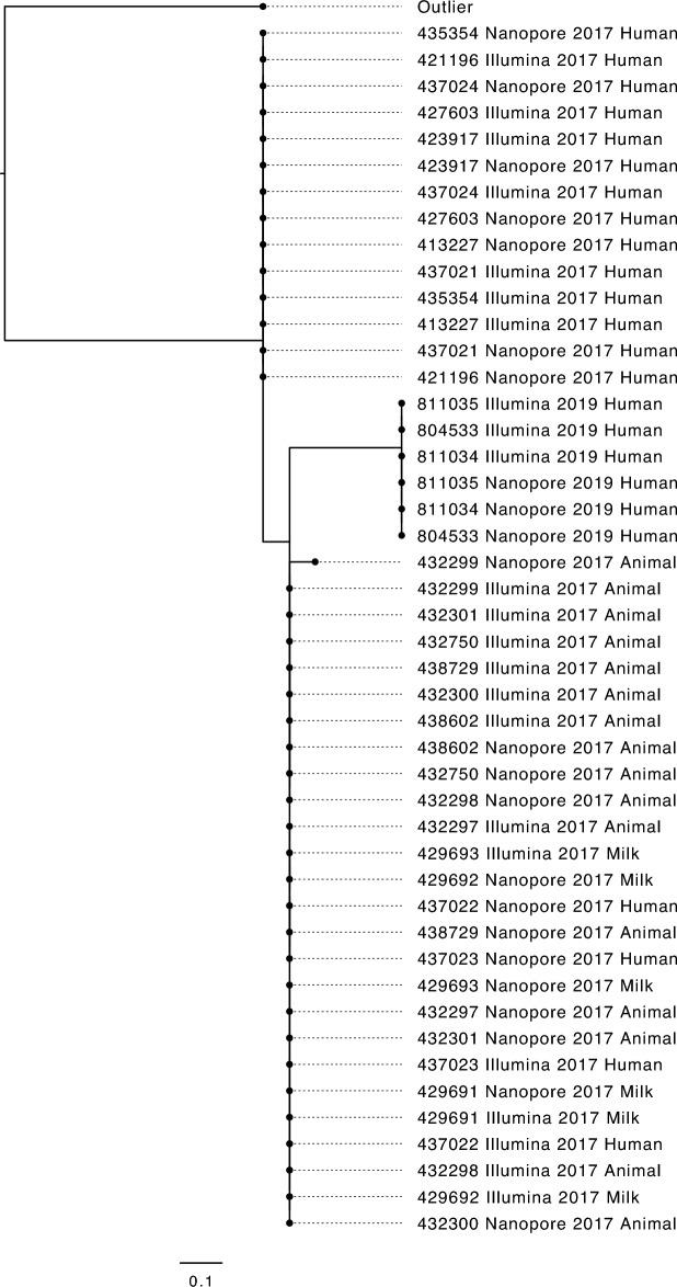 https://cdn.ncbi.nlm.nih.gov/pmc/blobs/5ff8/10925052/2b3846e10863/41598_2024_54662_Fig1_HTML.jpg