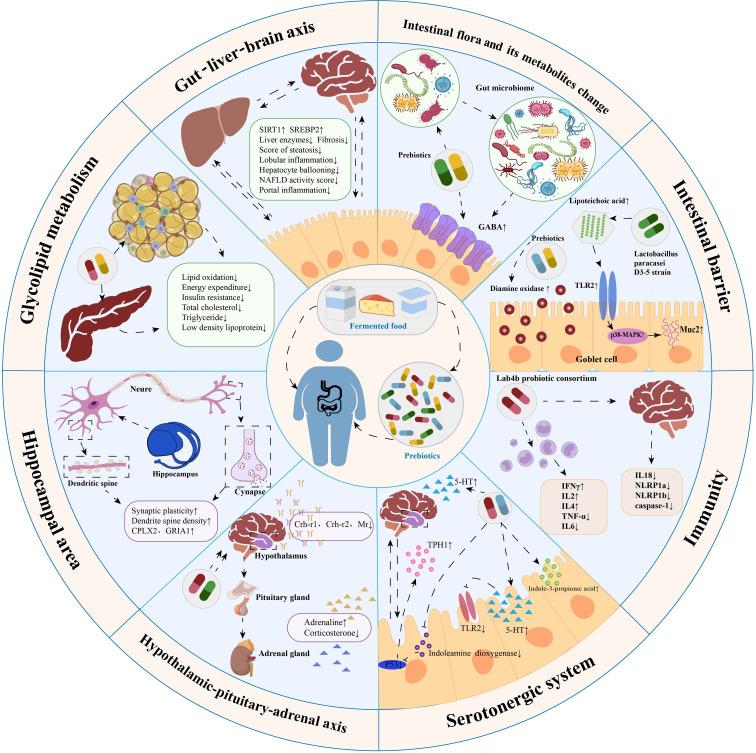 https://cdn.ncbi.nlm.nih.gov/pmc/blobs/5ffa/10213414/98c48ac88b66/fcimb-13-1178399-g002.jpg