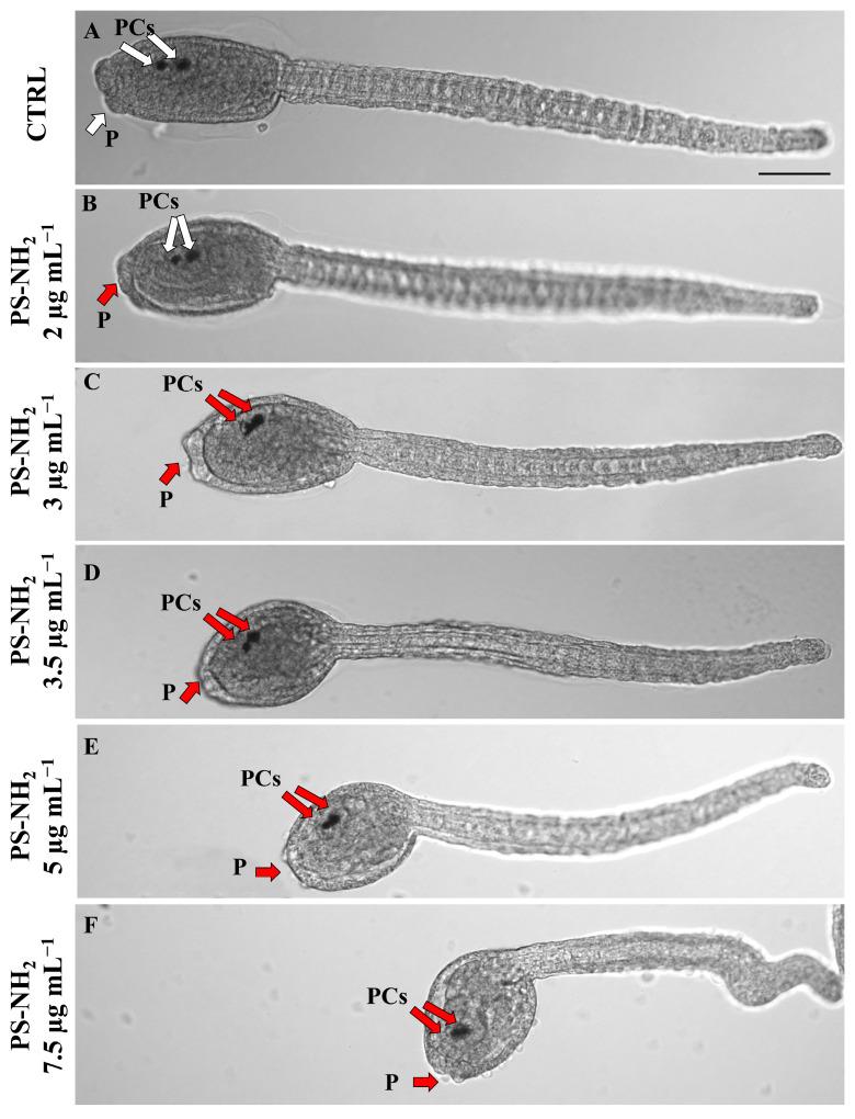 https://cdn.ncbi.nlm.nih.gov/pmc/blobs/5ffb/11755549/6e0be6a7dfd6/jox-15-00010-g003.jpg