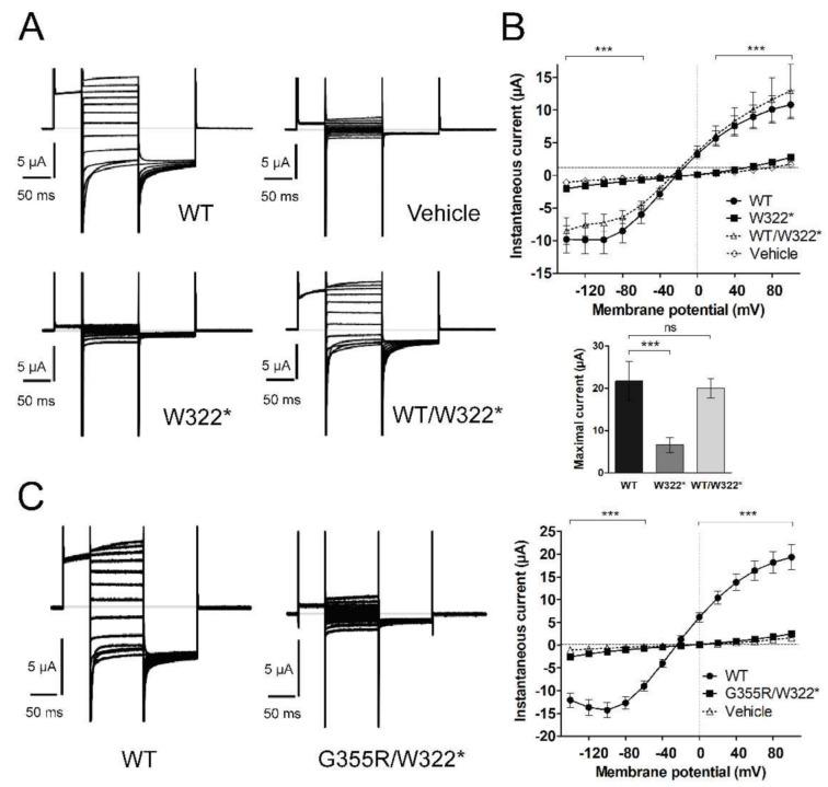 https://cdn.ncbi.nlm.nih.gov/pmc/blobs/5ffb/7918176/ed0bd97ef2db/cells-10-00374-g003.jpg