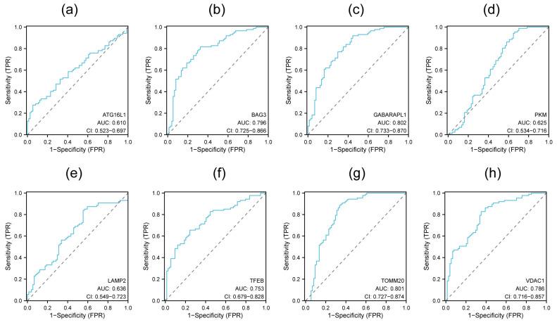 https://cdn.ncbi.nlm.nih.gov/pmc/blobs/5fff/11354206/ec30764deaa3/genes-15-01027-g006.jpg