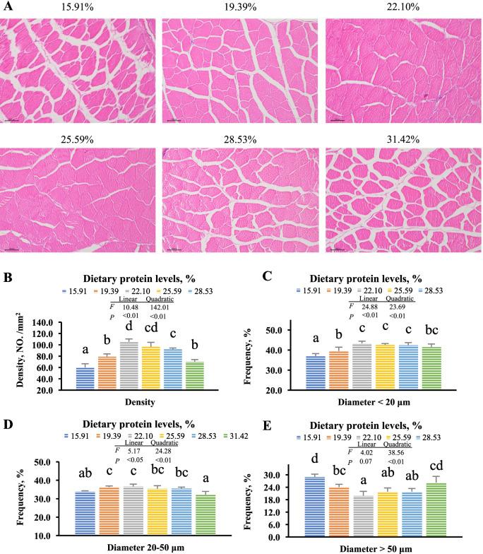 https://cdn.ncbi.nlm.nih.gov/pmc/blobs/6000/9404606/74c1f54093a2/40104_2022_747_Fig1_HTML.jpg