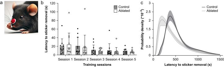 https://cdn.ncbi.nlm.nih.gov/pmc/blobs/6002/12106870/c0d1869ec744/gr3.jpg