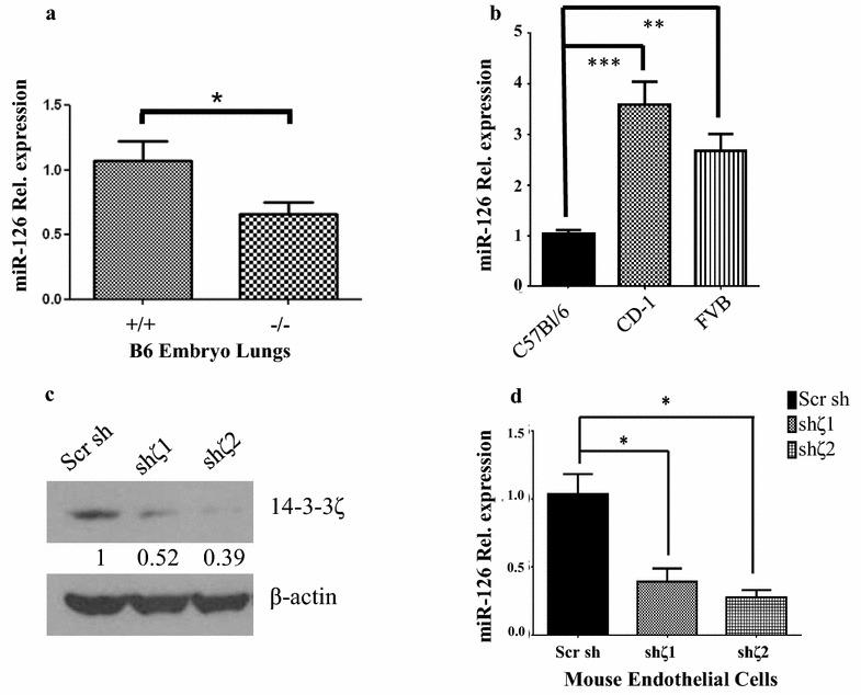 https://cdn.ncbi.nlm.nih.gov/pmc/blobs/6002/5667492/c1e45a11ffea/13578_2017_186_Fig3_HTML.jpg