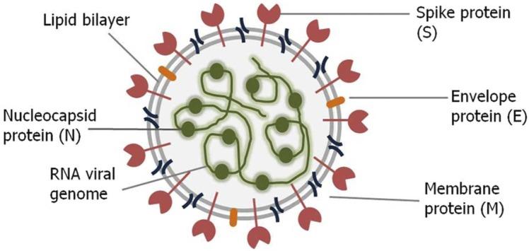 https://cdn.ncbi.nlm.nih.gov/pmc/blobs/6002/9371983/28d486e5b7e5/gr1_lrg.jpg