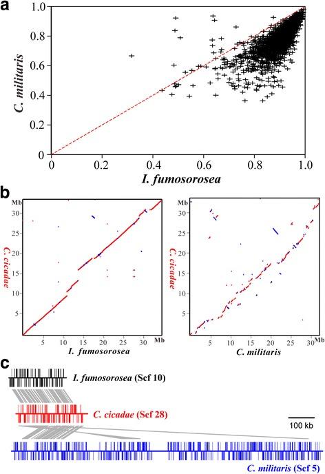 https://cdn.ncbi.nlm.nih.gov/pmc/blobs/6007/5577849/b7a41f59a509/12864_2017_4060_Fig2_HTML.jpg