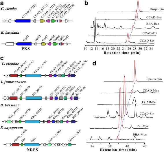 https://cdn.ncbi.nlm.nih.gov/pmc/blobs/6007/5577849/ee613317b7b4/12864_2017_4060_Fig5_HTML.jpg