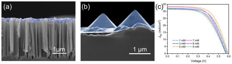 https://cdn.ncbi.nlm.nih.gov/pmc/blobs/6007/8911853/bae222c091eb/molecules-27-01710-g003.jpg