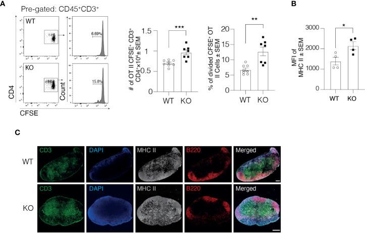 https://cdn.ncbi.nlm.nih.gov/pmc/blobs/6009/7970002/e07ca2a9ed14/fimmu-12-602122-g004.jpg