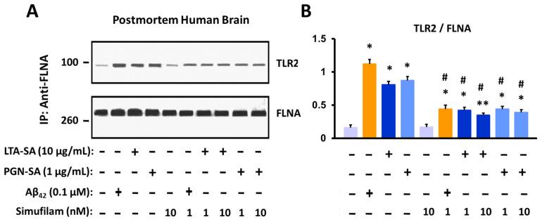 https://cdn.ncbi.nlm.nih.gov/pmc/blobs/600b/10531384/168e3d1cfe75/ijms-24-13927-g002.jpg