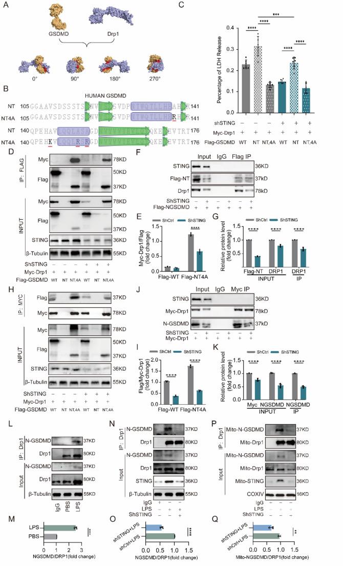 https://cdn.ncbi.nlm.nih.gov/pmc/blobs/600c/12334783/5a38bd74aa65/18_2025_5774_Fig5_HTML.jpg