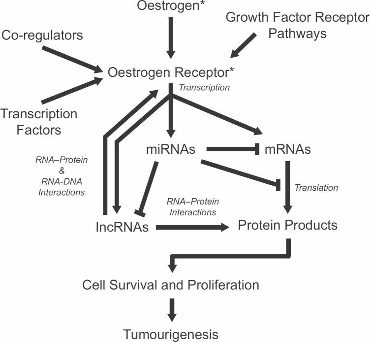 https://cdn.ncbi.nlm.nih.gov/pmc/blobs/600d/3816846/c204229a658e/can-7-370fig1.jpg
