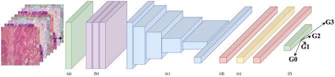 https://cdn.ncbi.nlm.nih.gov/pmc/blobs/600e/10665422/81406bc648e3/41598_2023_46619_Fig5_HTML.jpg