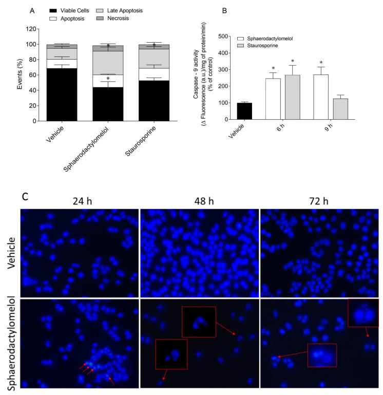 https://cdn.ncbi.nlm.nih.gov/pmc/blobs/600f/7961984/b08a42946b20/molecules-26-01374-g004.jpg