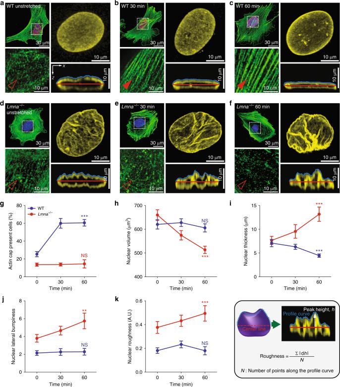 https://cdn.ncbi.nlm.nih.gov/pmc/blobs/6011/5730574/325103f79de2/41467_2017_2217_Fig3_HTML.jpg