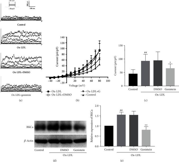 https://cdn.ncbi.nlm.nih.gov/pmc/blobs/6012/7752275/c3b163e8234a/ACP2020-8895449.004.jpg