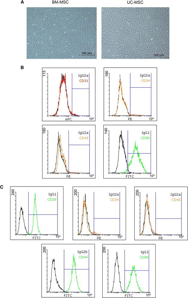 https://cdn.ncbi.nlm.nih.gov/pmc/blobs/6015/4425931/2567c33370fd/13287_2015_61_Fig1_HTML.jpg