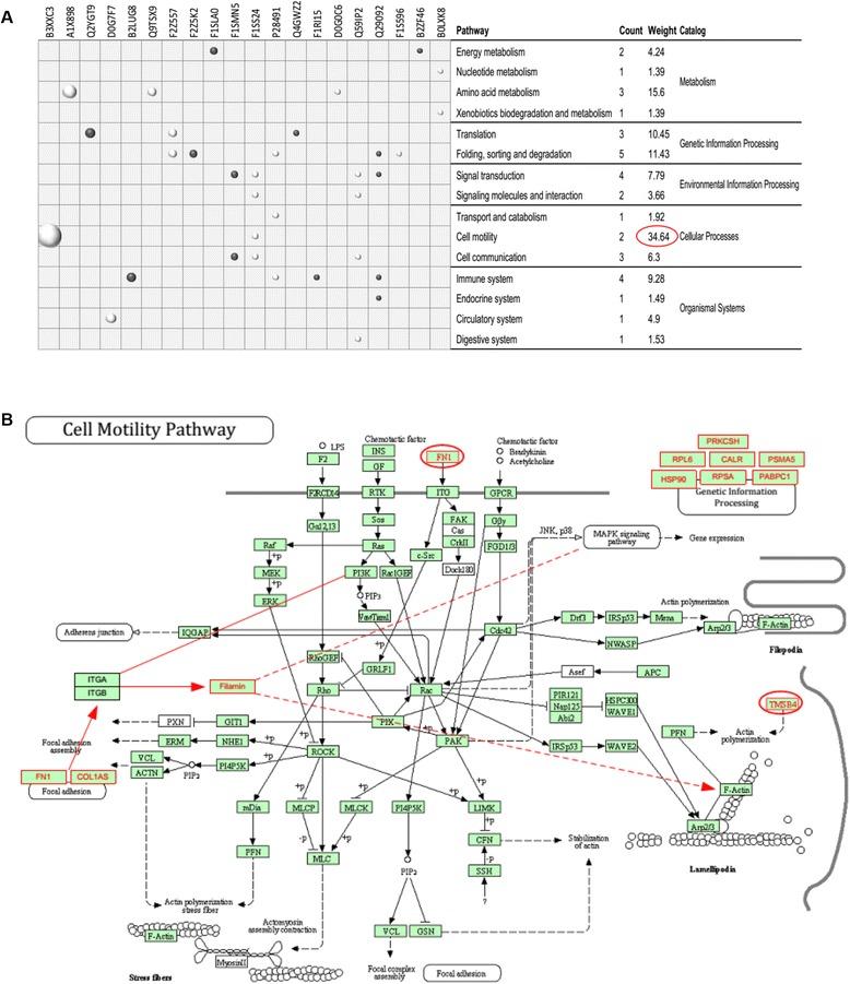 https://cdn.ncbi.nlm.nih.gov/pmc/blobs/6015/4425931/ddaee2a64ab1/13287_2015_61_Fig4_HTML.jpg