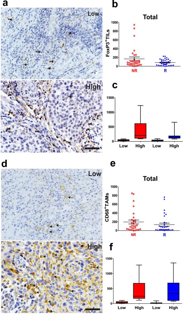 https://cdn.ncbi.nlm.nih.gov/pmc/blobs/6019/10730812/7c7889a36c5f/41598_2023_49441_Fig3_HTML.jpg