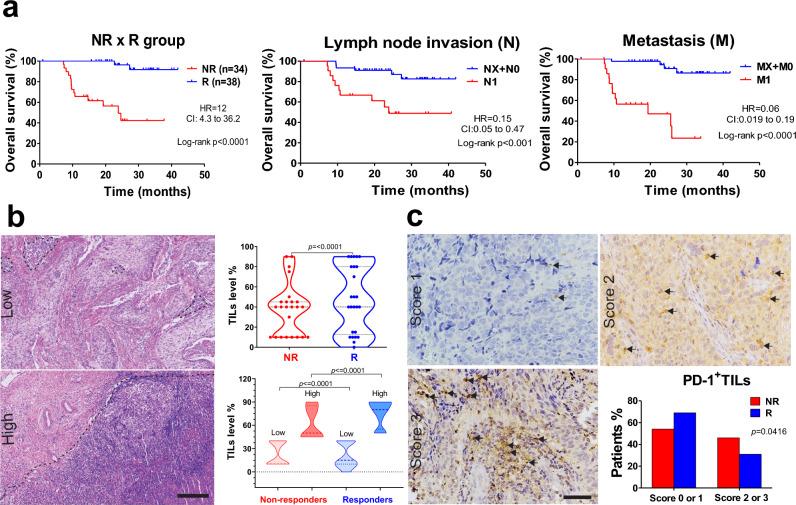 https://cdn.ncbi.nlm.nih.gov/pmc/blobs/6019/10730812/8a79bbac5ade/41598_2023_49441_Fig1_HTML.jpg