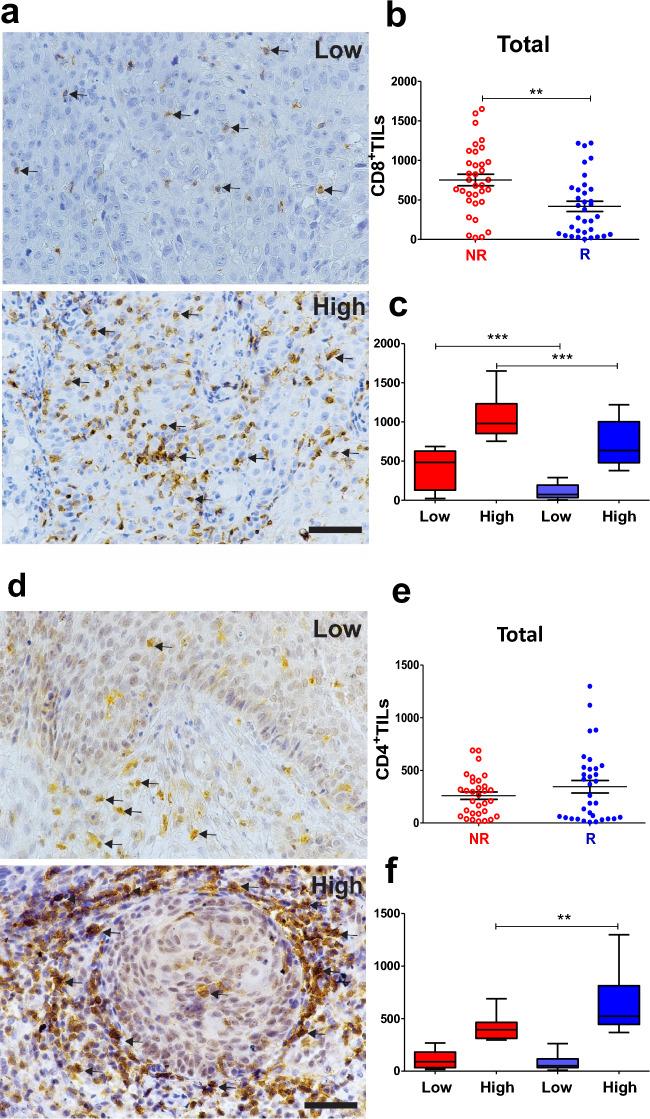 https://cdn.ncbi.nlm.nih.gov/pmc/blobs/6019/10730812/a7f9e56a9021/41598_2023_49441_Fig2_HTML.jpg