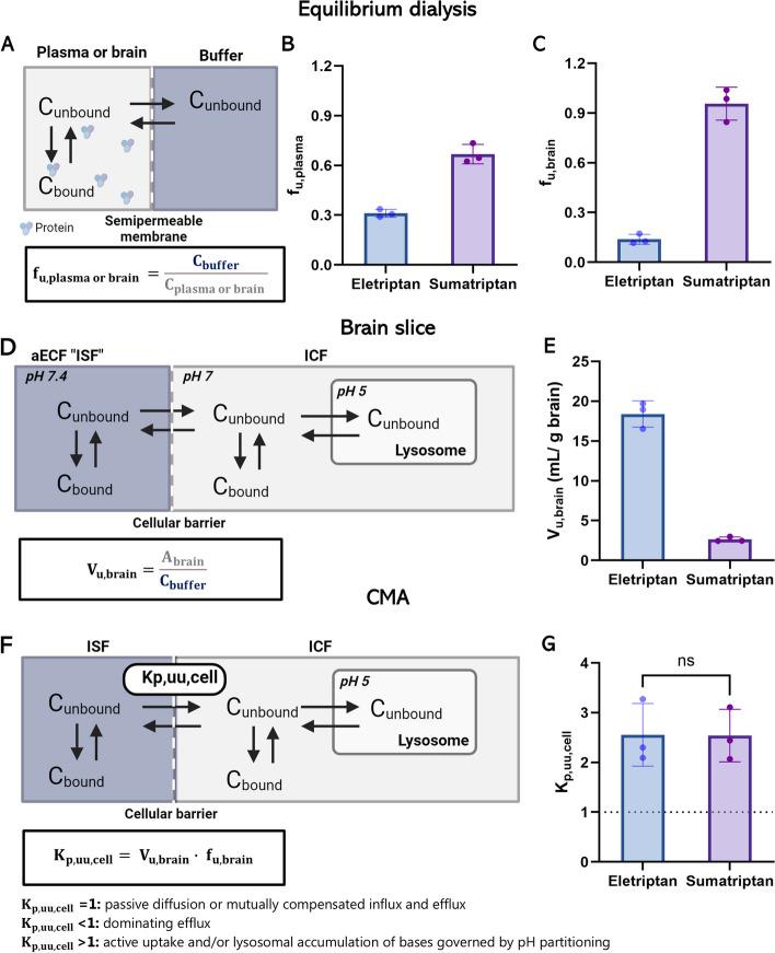 https://cdn.ncbi.nlm.nih.gov/pmc/blobs/6019/11523665/45e2312498c1/10194_2024_1894_Fig4_HTML.jpg
