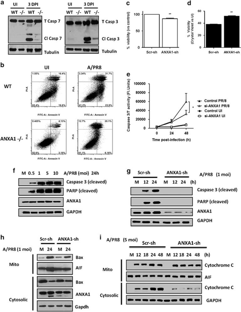 https://cdn.ncbi.nlm.nih.gov/pmc/blobs/601b/4946891/c89821f32f5b/cdd201619f7.jpg