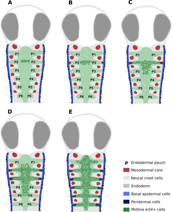 https://cdn.ncbi.nlm.nih.gov/pmc/blobs/601d/6626026/0317dea738fb/41598_2019_46040_Fig7_HTML.jpg