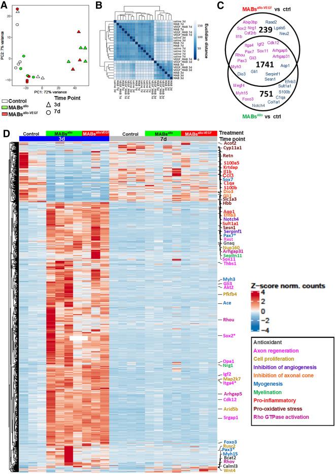 https://cdn.ncbi.nlm.nih.gov/pmc/blobs/6020/10224946/67e5b89decba/41598_2023_35809_Fig4_HTML.jpg
