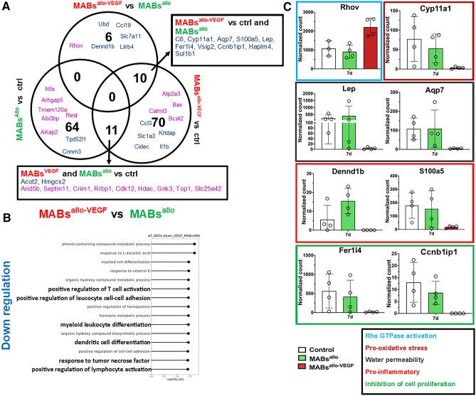 https://cdn.ncbi.nlm.nih.gov/pmc/blobs/6020/10224946/be8461c076f7/41598_2023_35809_Fig6_HTML.jpg