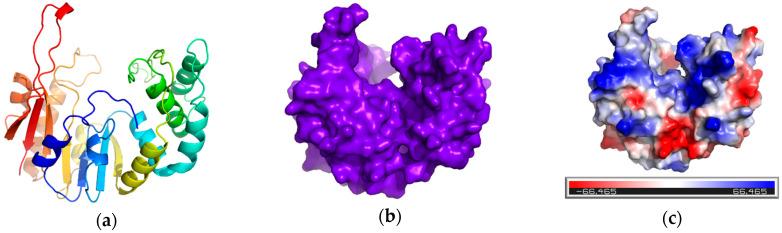 https://cdn.ncbi.nlm.nih.gov/pmc/blobs/6022/12189316/fc8fcd1ed4c5/antibiotics-14-00595-g007.jpg