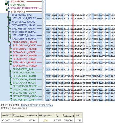 https://cdn.ncbi.nlm.nih.gov/pmc/blobs/6022/1538848/dd18ba639670/gkl229f2.jpg