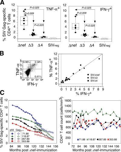 https://cdn.ncbi.nlm.nih.gov/pmc/blobs/6026/2118155/abc08642c15a/jem2032661f02.jpg