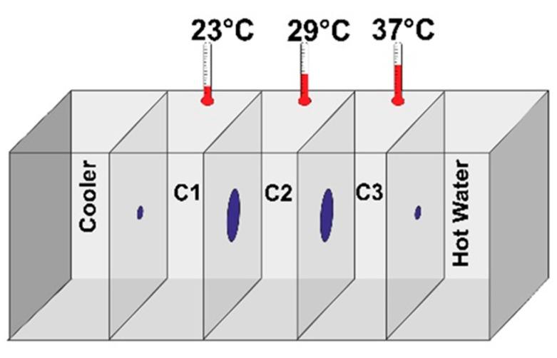 https://cdn.ncbi.nlm.nih.gov/pmc/blobs/6026/7662214/50679c259781/molecules-25-05091-g010.jpg