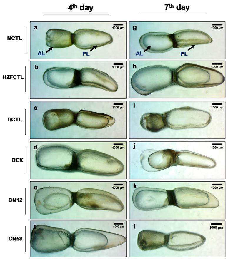 https://cdn.ncbi.nlm.nih.gov/pmc/blobs/6026/7662214/87ec29a733ac/molecules-25-05091-g004.jpg