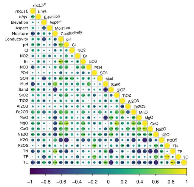 https://cdn.ncbi.nlm.nih.gov/pmc/blobs/6027/7437527/b9d16d14550c/fmicb-11-01936-g005.jpg