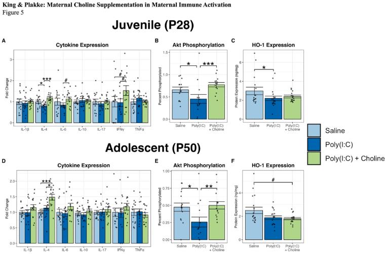 https://cdn.ncbi.nlm.nih.gov/pmc/blobs/602a/11350509/32350aaf3569/gr5.jpg
