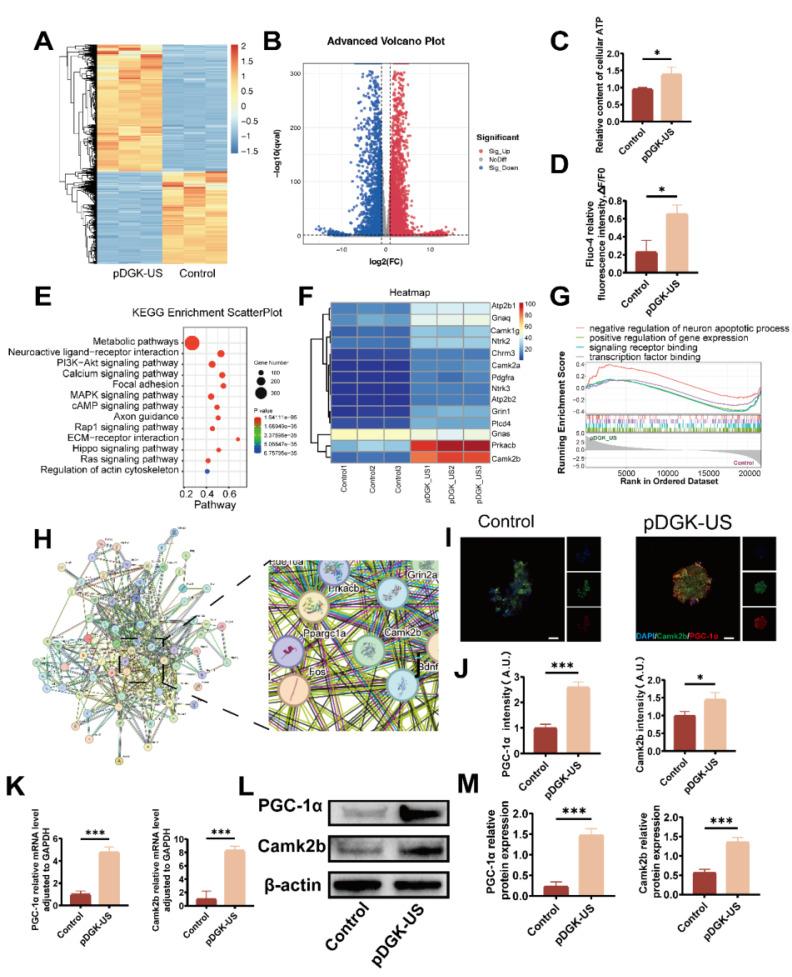 https://cdn.ncbi.nlm.nih.gov/pmc/blobs/602d/12036890/c40063b14460/thnov15p4955g005.jpg