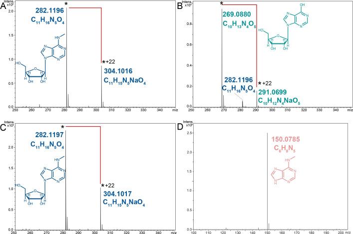 https://cdn.ncbi.nlm.nih.gov/pmc/blobs/602d/12133300/36a879a78d82/bcj-482-4-BCJ20240728-g003.jpg
