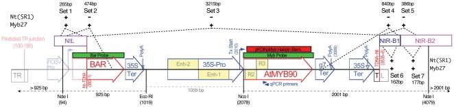 https://cdn.ncbi.nlm.nih.gov/pmc/blobs/602d/3281821/84458be0730d/pone.0030141.g001.jpg