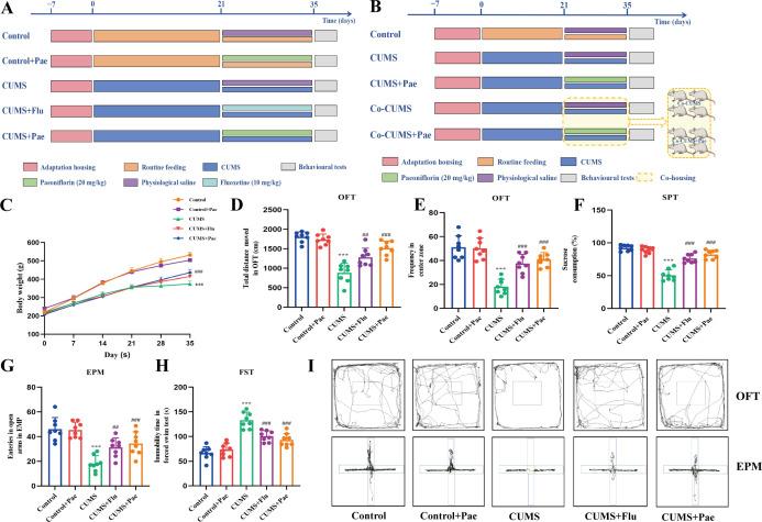 https://cdn.ncbi.nlm.nih.gov/pmc/blobs/602f/12382487/bde1fafed5cc/gpsych-38-4-g002.jpg