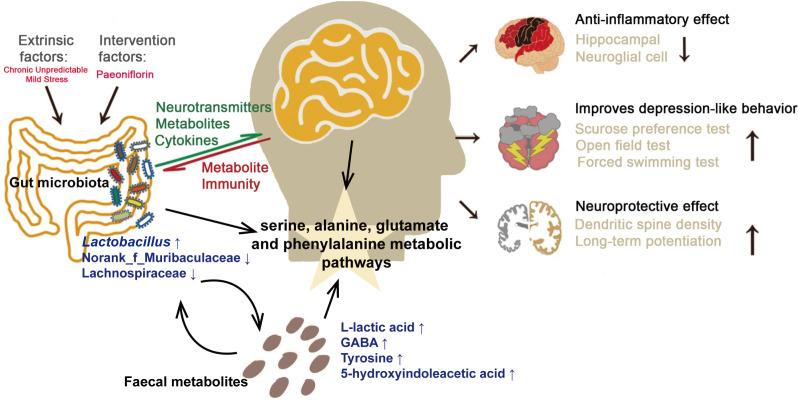 https://cdn.ncbi.nlm.nih.gov/pmc/blobs/602f/12382487/d439845c4274/gpsych-38-4-g007.jpg