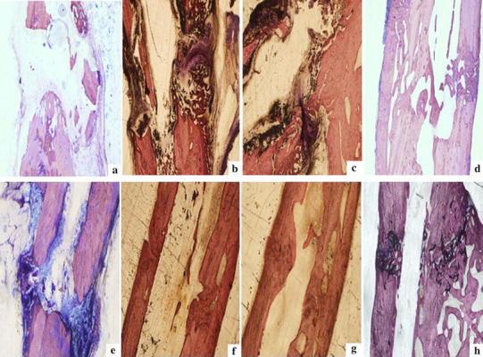https://cdn.ncbi.nlm.nih.gov/pmc/blobs/602f/4449366/ab6ddb522e92/12013_2014_378_Fig1_HTML.jpg