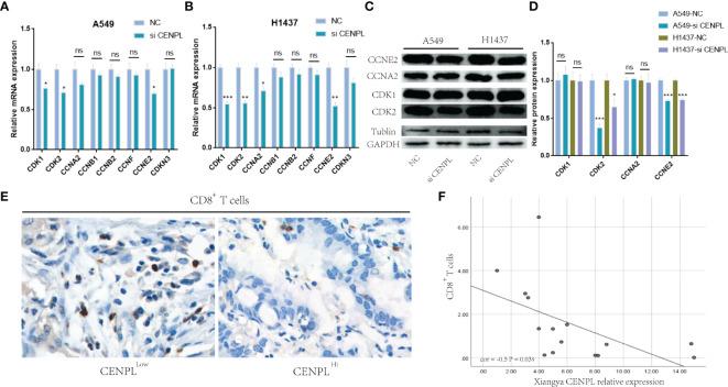https://cdn.ncbi.nlm.nih.gov/pmc/blobs/602f/9279617/2179e260b529/fimmu-13-916594-g010.jpg
