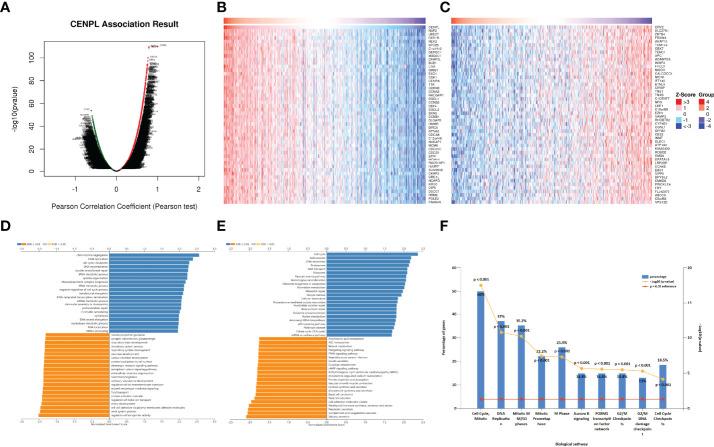 https://cdn.ncbi.nlm.nih.gov/pmc/blobs/602f/9279617/416d6bd24d45/fimmu-13-916594-g007.jpg
