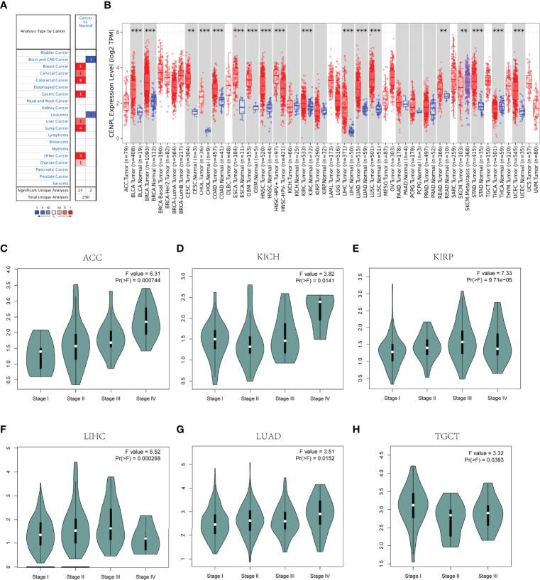 https://cdn.ncbi.nlm.nih.gov/pmc/blobs/602f/9279617/fa1a0c623071/fimmu-13-916594-g001.jpg