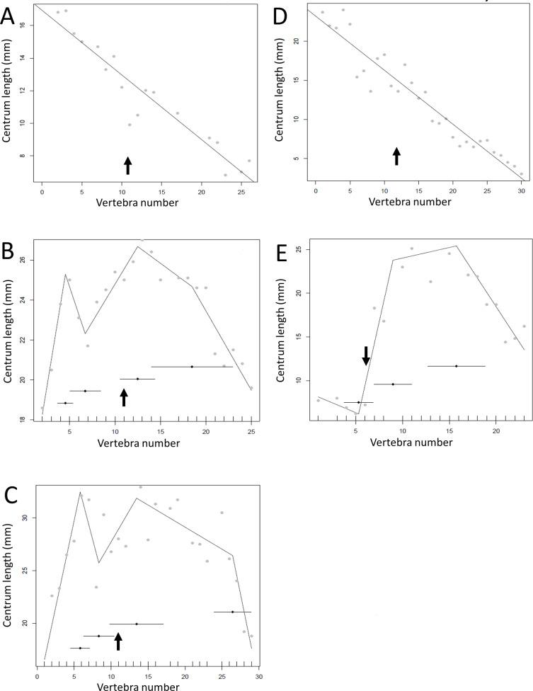 https://cdn.ncbi.nlm.nih.gov/pmc/blobs/6030/7891087/99127905ff49/peerj-09-10721-g009.jpg